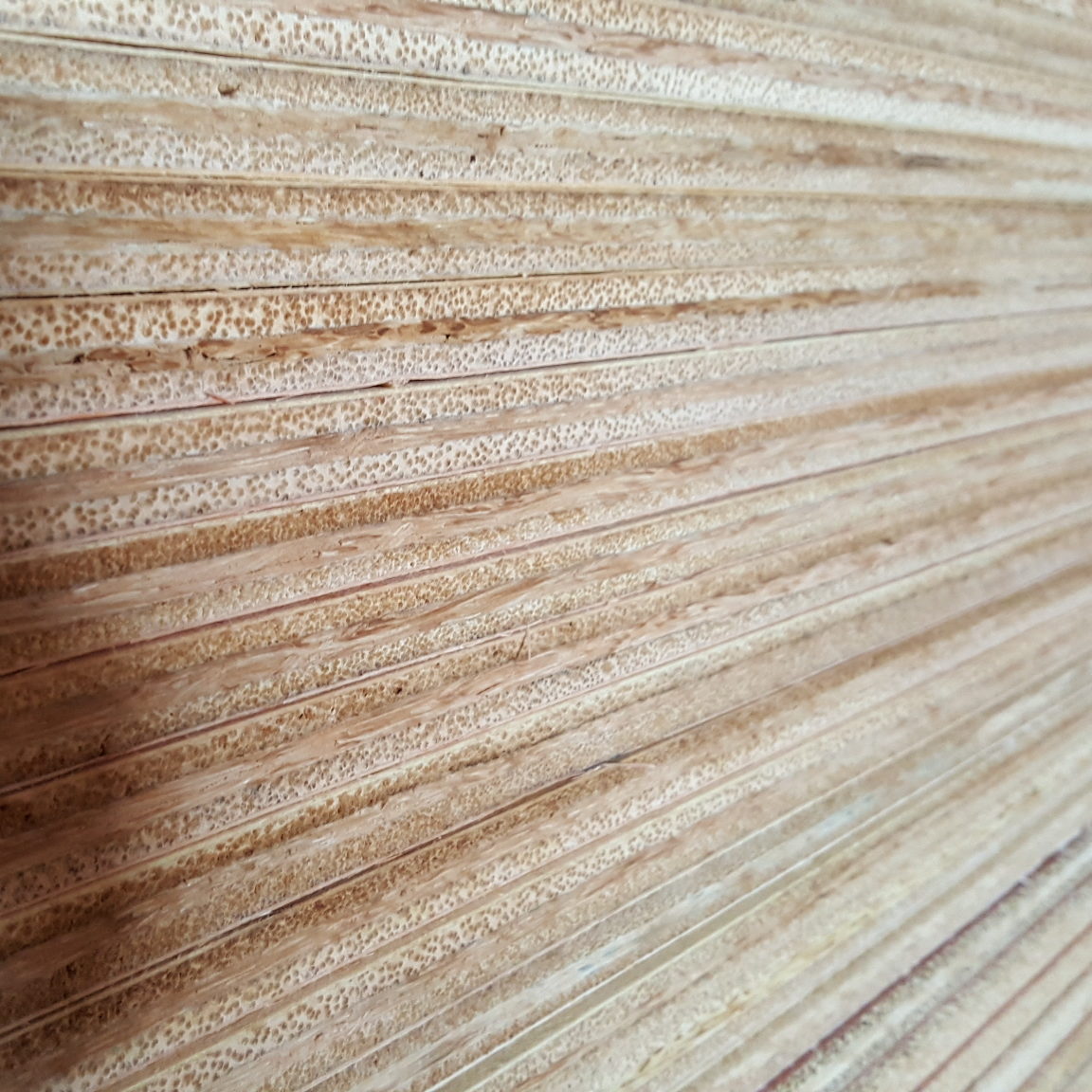 MLH Palm Plywood